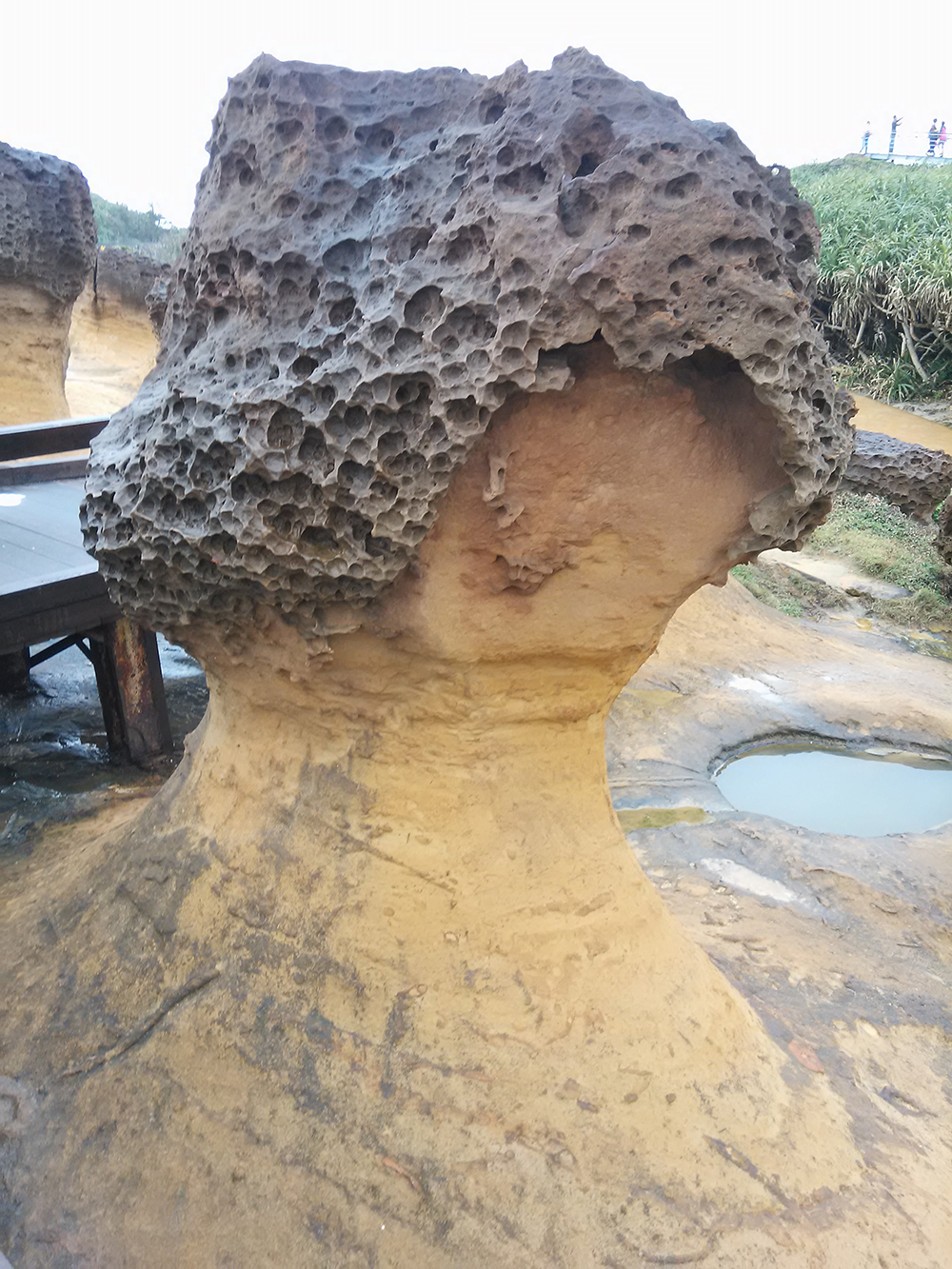 总经理桂冠赴台湾考察归来(图6) 总经理桂冠赴台湾考察归来(图6)