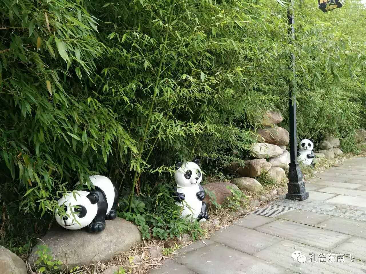 孔雀东南飞景区首届七彩油伞浪漫风铃节盛大开幕(图6) 孔雀东南飞景区首届七彩油伞浪漫风铃节盛大开幕(图6)