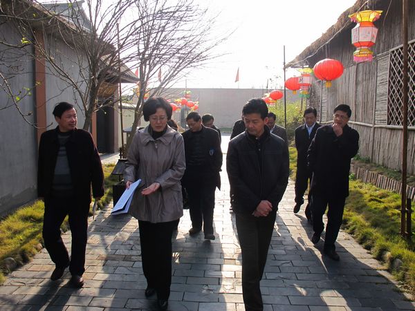 安庆市人民政府陈爱军副市长莅临孔雀东南飞文化产业基地视察指导(图4) 点击浏览下一页